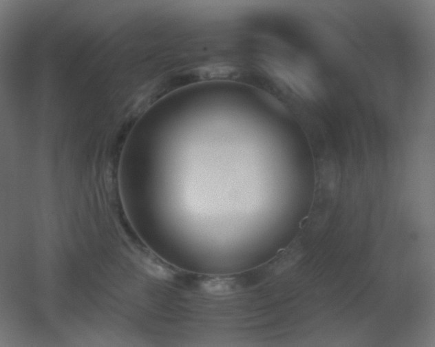 X0000053070761200507111218