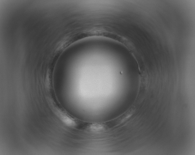 X0000053070762200507111218