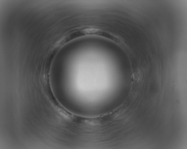 X0000053070763200507111218