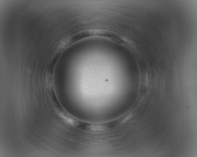 X0000053070766200507111218