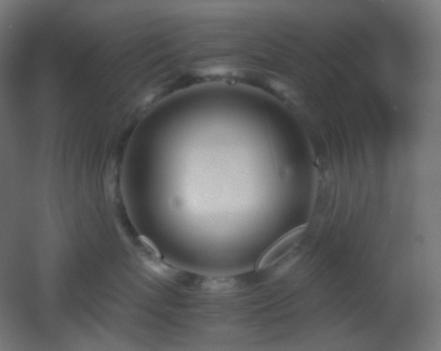 X0000053070767200507111218