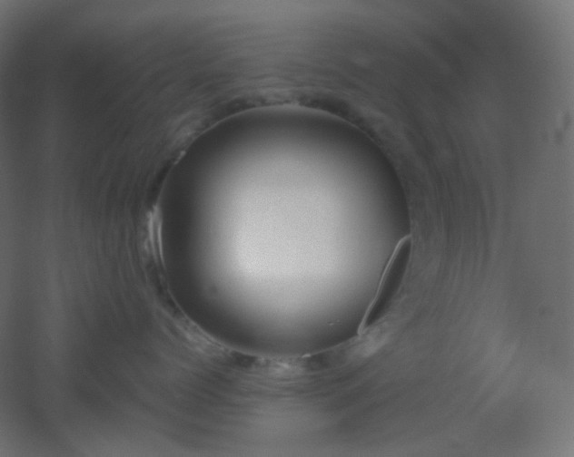 X0000053070768200507111218
