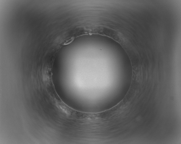 X0000053070770200507111217