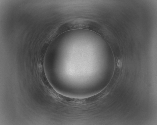 X0000053070771200507111217