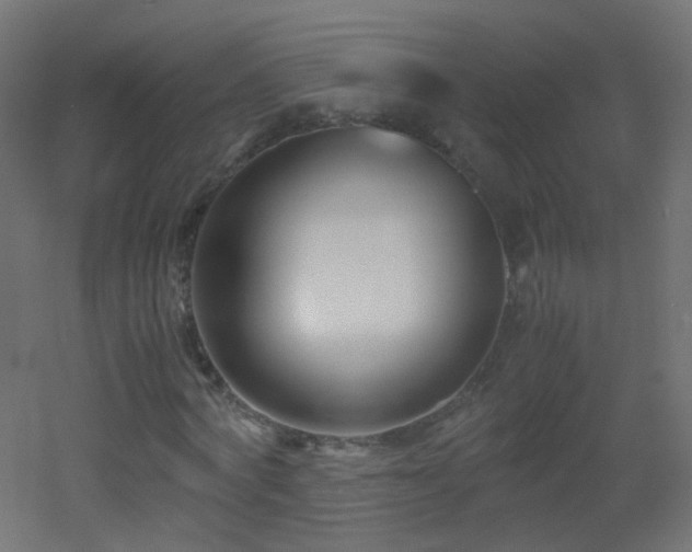 X0000053070772200507111217