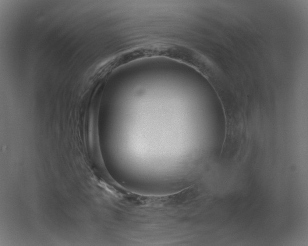 X0000053070773200507111217