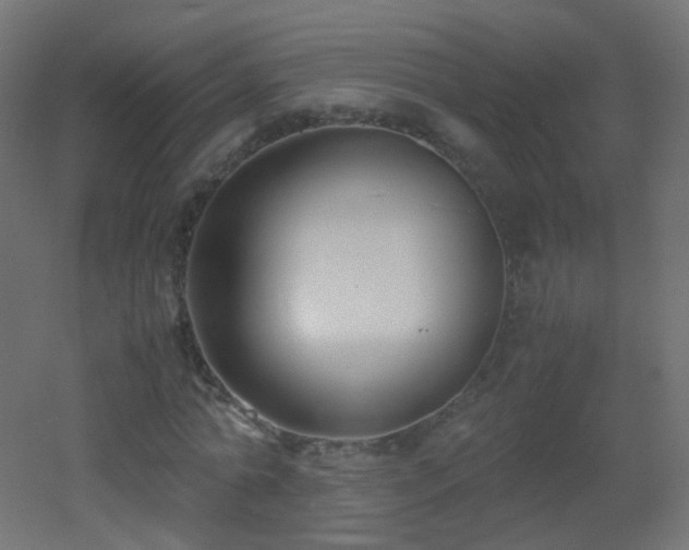 X0000053070774200507111217