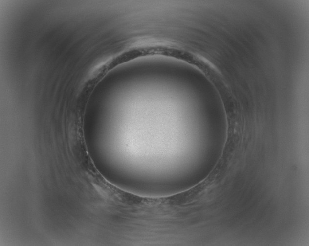 X0000053070775200507111217