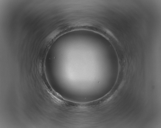 X0000053070777200507111217