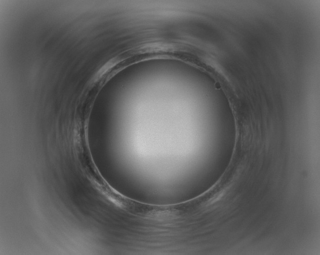 X0000053070778200507111217