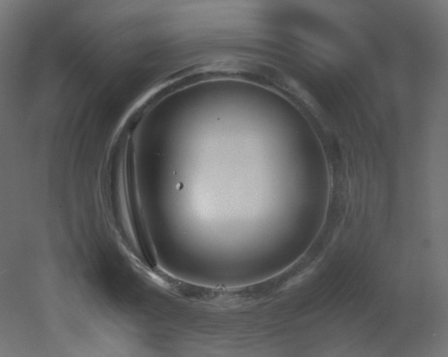 X0000053070779200507111217