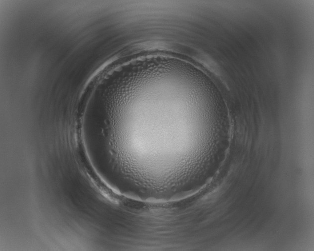X0000053070782200507111217