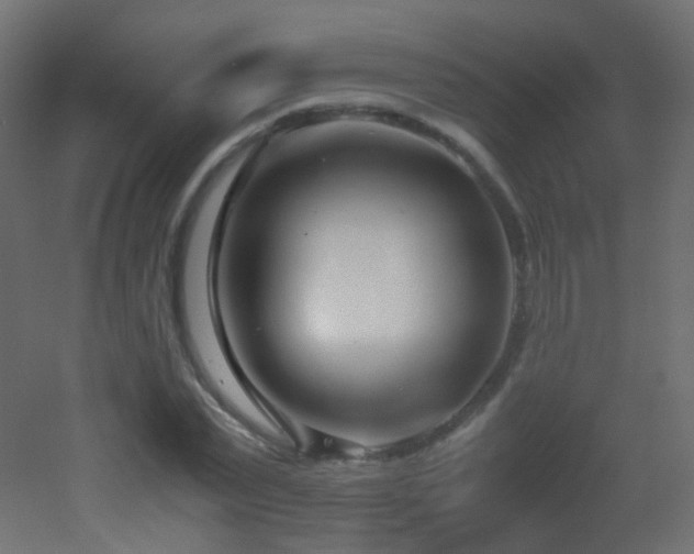 X0000053070783200507111217