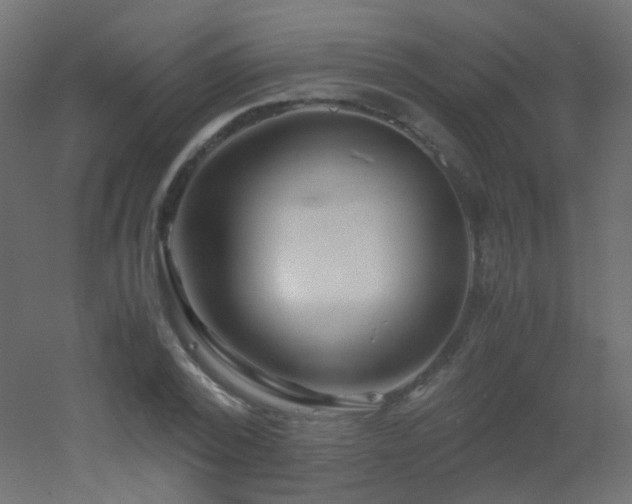 X0000053070784200507111217