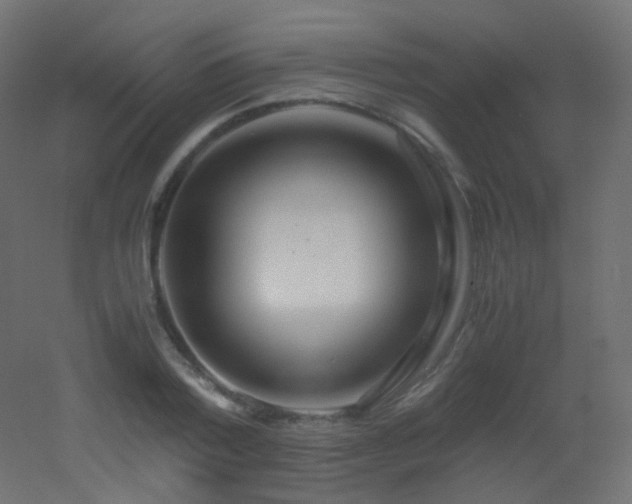 X0000053070788200507111217