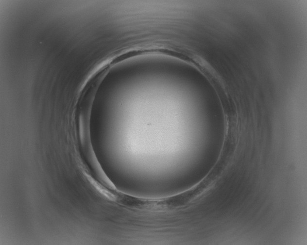 X0000053070789200507111217