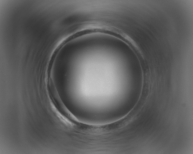 X0000053070791200507111217
