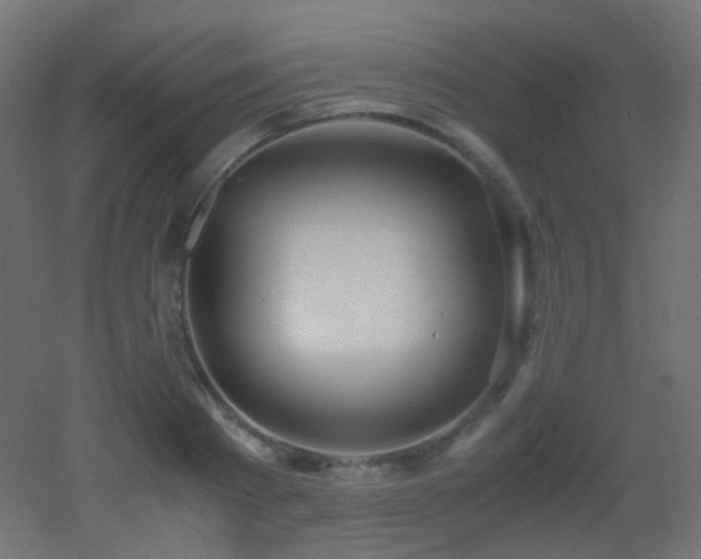 X0000053070793200507111217