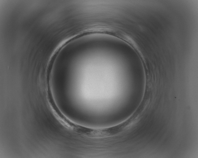 X0000053070795200507111217