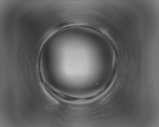 X0000053070797200507111217