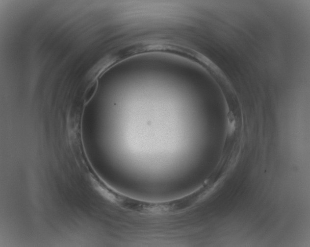 X0000053070801200507111217