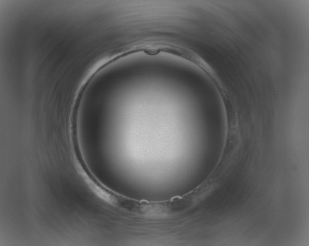 X0000053070803200507111217