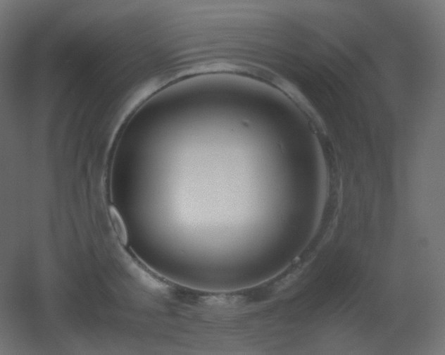 X0000053070805200507111217