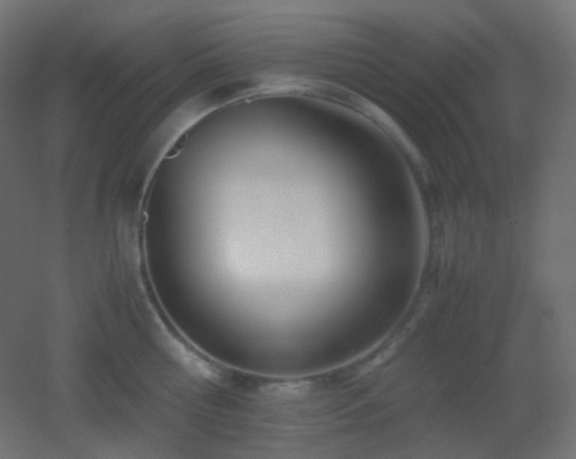 X0000053070810200507111217