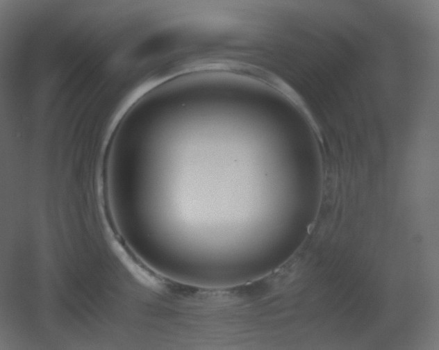 X0000053070811200507111217