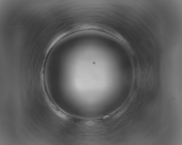 X0000053070814200507111216