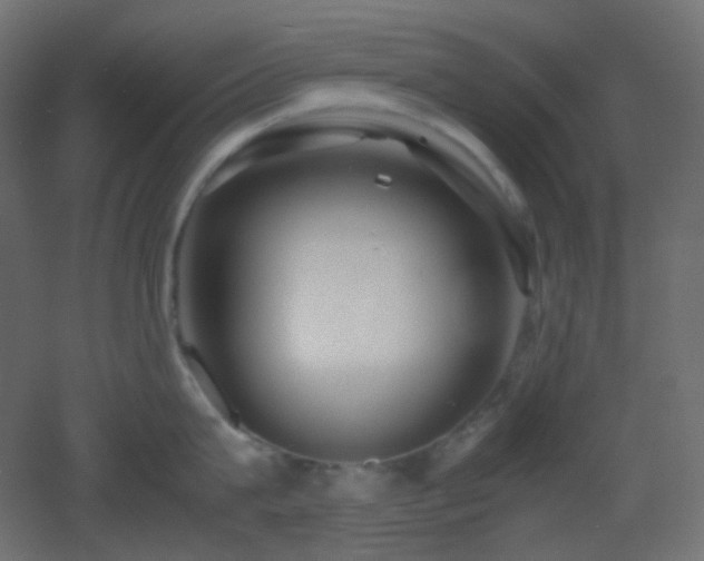 X0000053070815200507111216