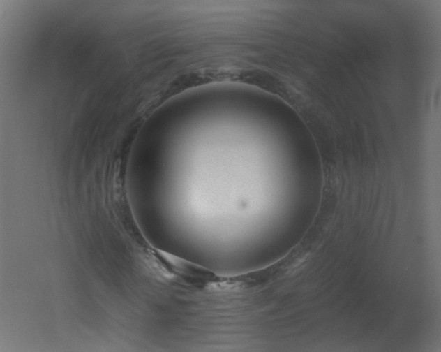 X0000053070818200507111216