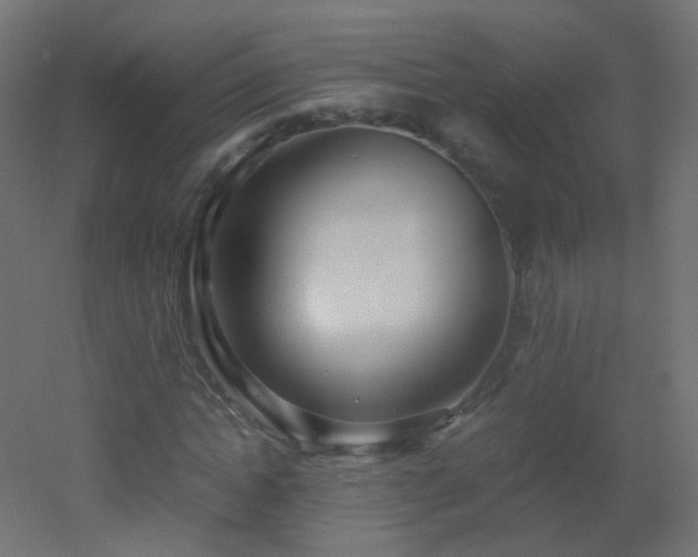 X0000053070822200507111216