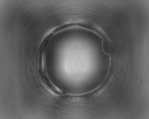 X0000053070826200507111216
