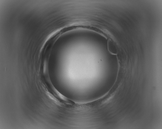 X0000053070830200507111216