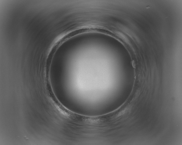 X0000053070831200507111216