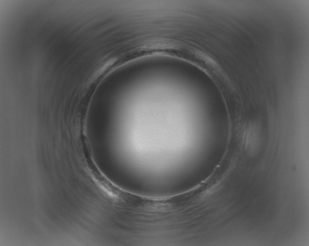 X0000053070833200507111216