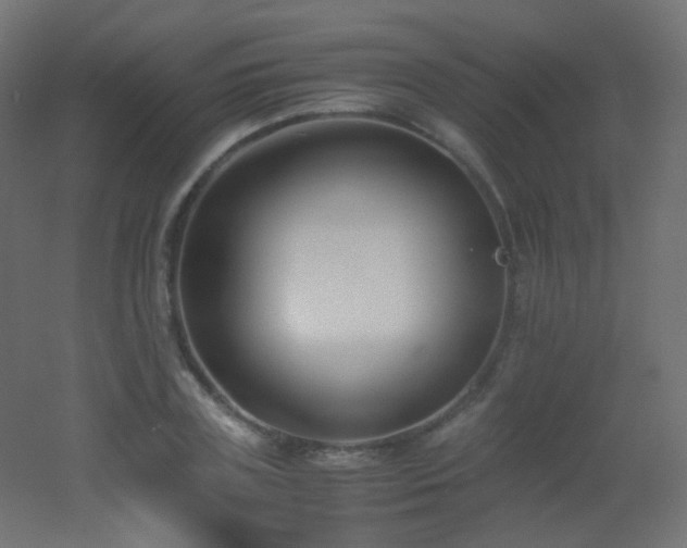 X0000053070835200507111216