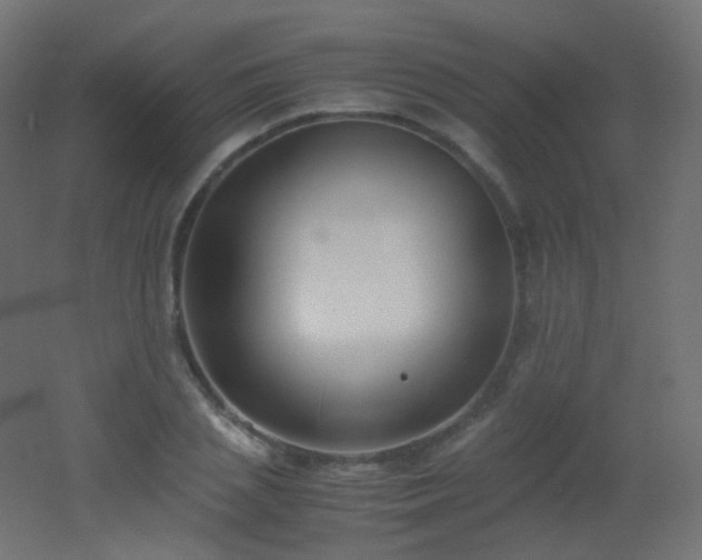X0000053070837200507111216