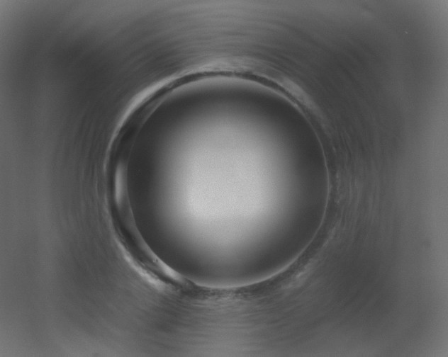 X0000053070838200507111216