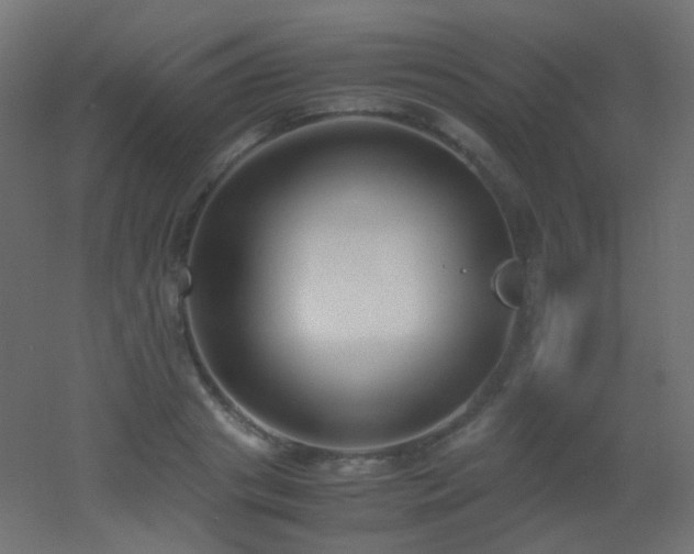 X0000053070841200507111216