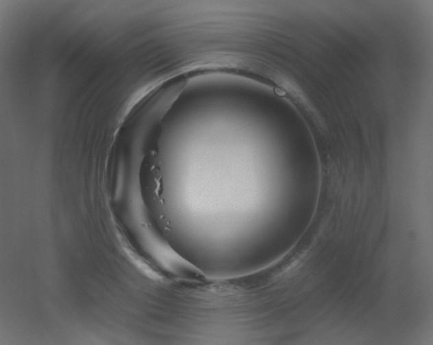 X0000053070842200507111216