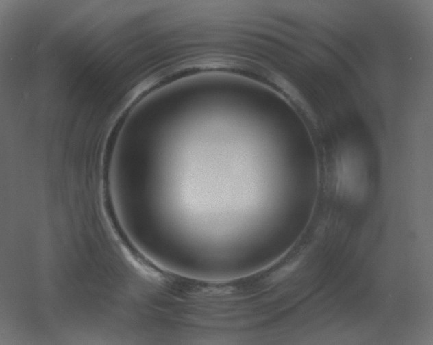 X0000053070845200507111216