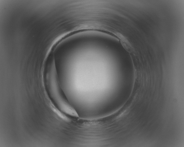 X0000053070846200507111216