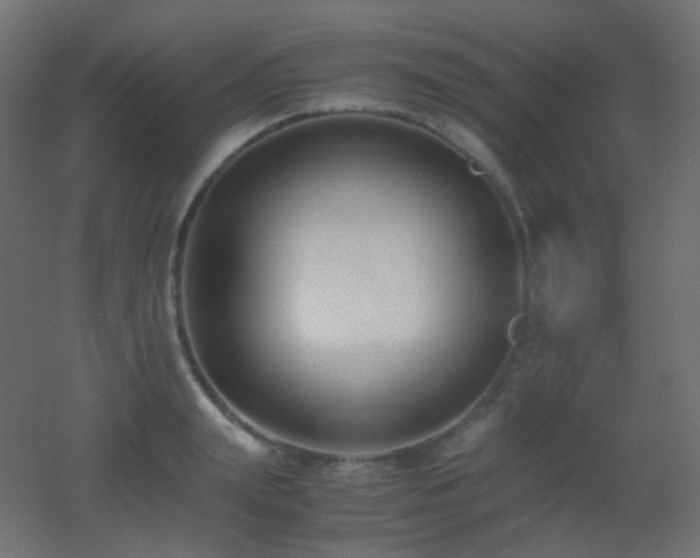 X0000053070847200507111216