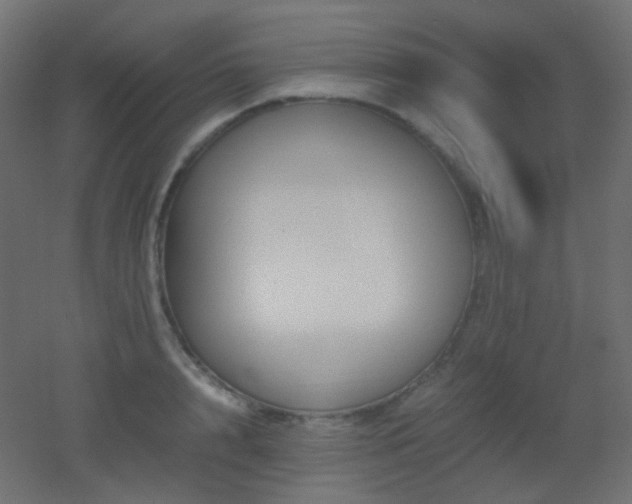 X0000053070848200507111216