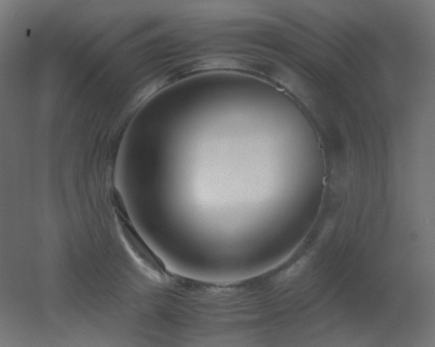 X0000053070849200507111216