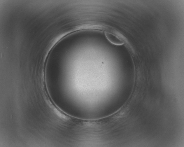 X0000053070852200507111216
