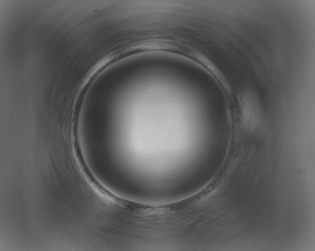 X0000053070853200507111216