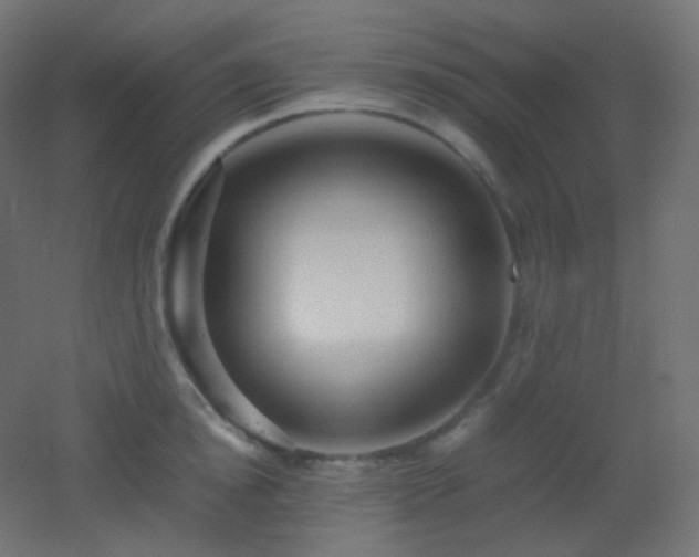 X0000053070854200507111216